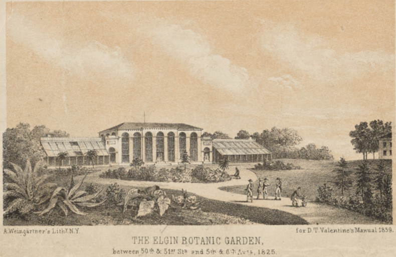 Elgin Botanic Gardens
NYPL Digital Collections
