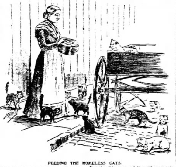 New York World, February 25, 1894
Broome Street and Pitt Street Cats