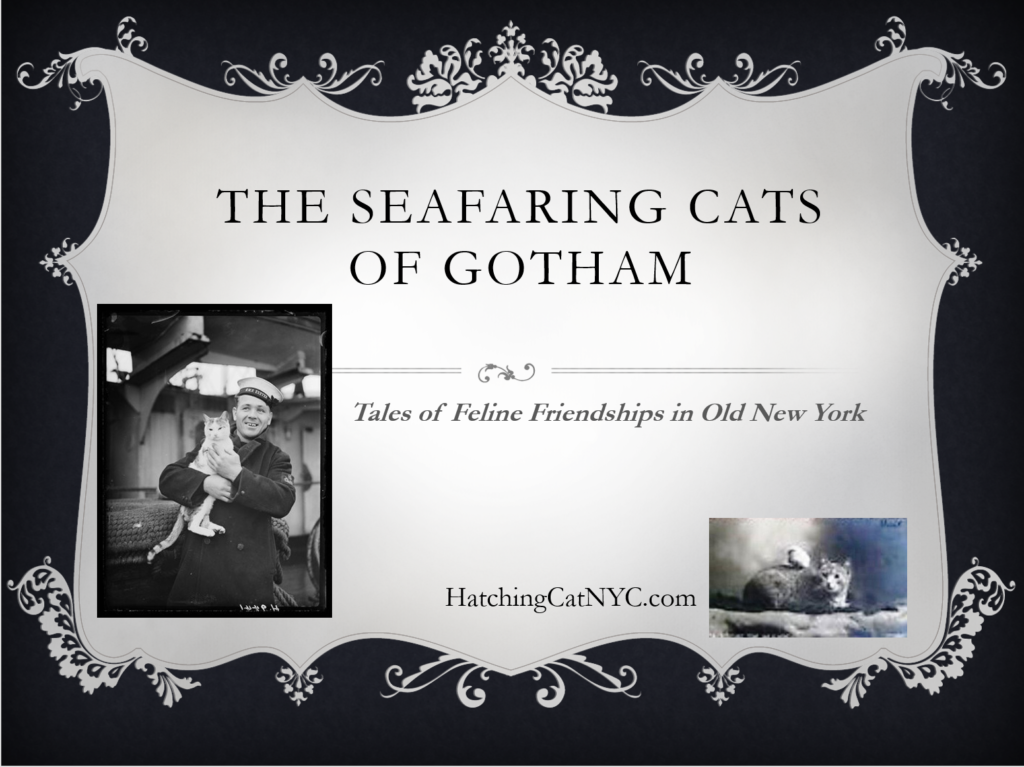 Virtual presentation, Seafaring Cats of Gotham.