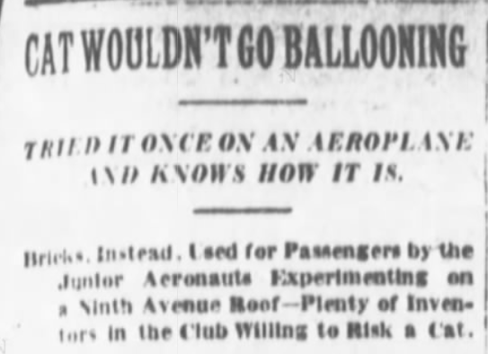 New York Sun, April 5, 1908
Story of Pete the cat of the Junior Aero Club