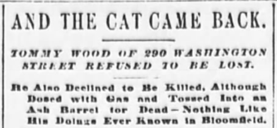 The Sun, August 30, 1896\
Thomas Wood, cat of Washington Street