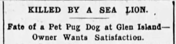 Brooklyn Standard Union, August 23, 1897
Sea Lion Eats Pug at Glen Island