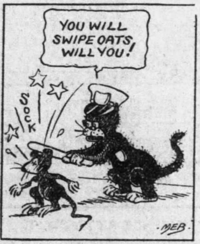 Brooklyn Daily Eagle, April 17, 1923
Tramp cat Richmond Hill Police