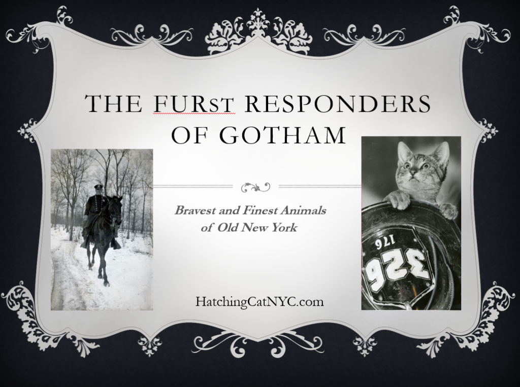 FURst Responders of Gotham virtual presentation 