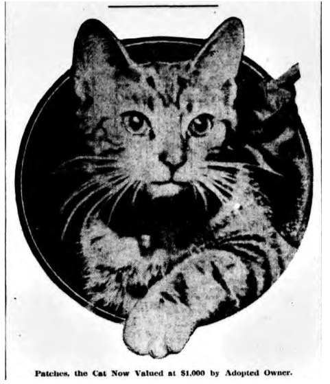 Patches was a hero cat in December 1912 for saving five lives in a four-story building on West 31st Street.