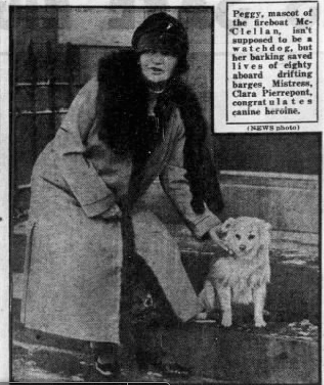 Peggy, the mascot hero of FDNY Fire Boat George B. McClellan with Clara Pierrepont, December 1926, New York Daily News.