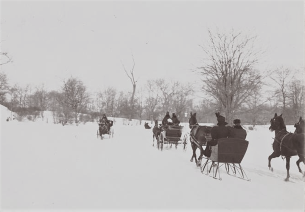 Sleigh-riding in Central Park, 1898. New York Public Library Digital Collections