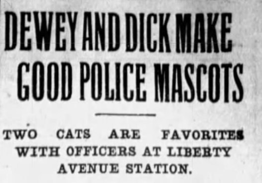 Dewey and Dick police cats of 484 Liberty Street, Brooklyn Times Union, August 1909