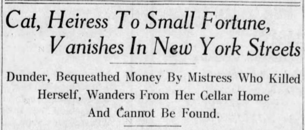 Baltimore Sun, August 3, 1925
Carnegie Hill cat missing  