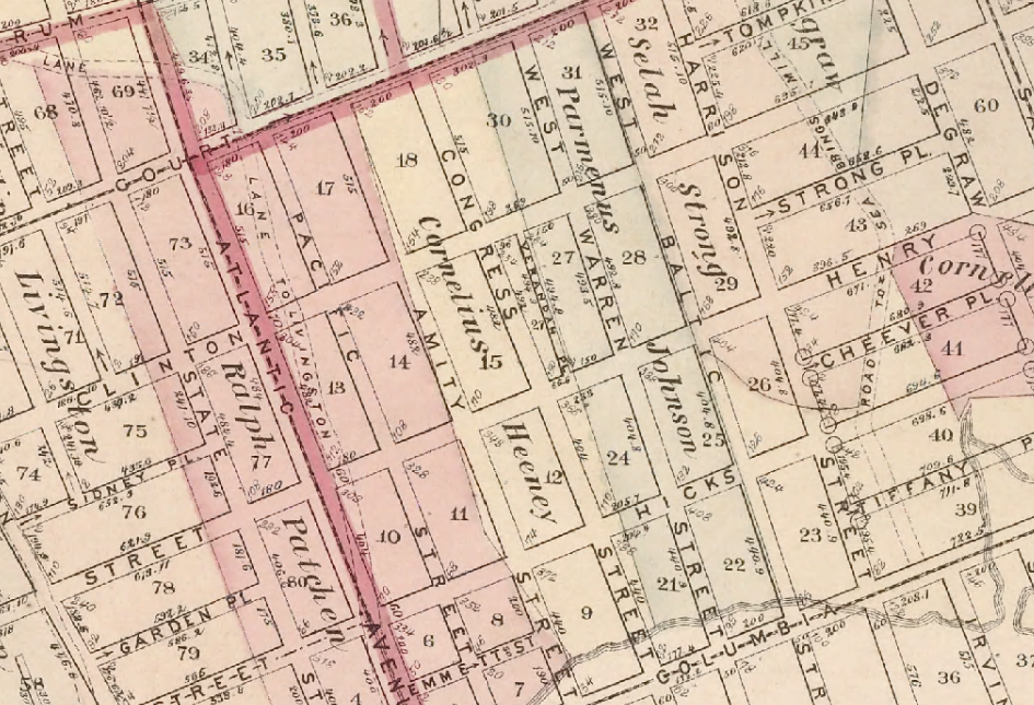 1874 Brooklyn Farm Map, Cornelius Heeney