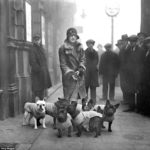 Woman-Dog-Walker