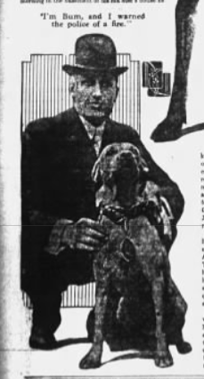 Bum, 12th Precinct mascot, in June 1914, after winning a lifesaving medal at the annual Workhorse Parade. 