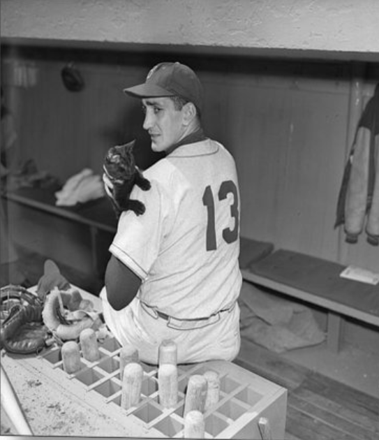 Brooklyn Dodgers pitcher Ralph Branca, April 14, 1951. Brooklyn Public Library Digital Collections.
Brooklyn Dodgers pitcher Ralph Branca, April 14, 1951. 