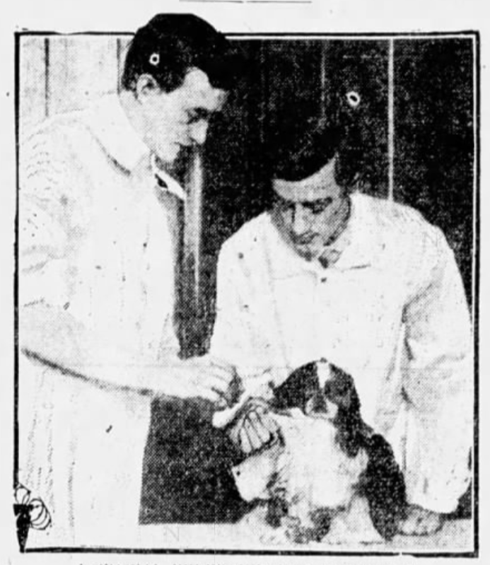 Dr. Herbert J. Brotheridge with his trained assistant in 1908. 
Fort Greene Hospital for Dogs and Cats