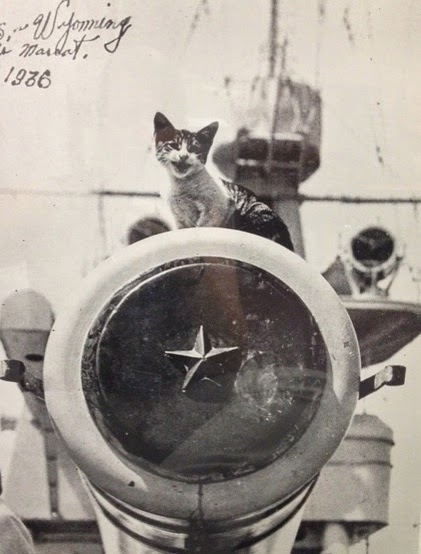 This is feline mascot of the battleship Wisconsin in 1936.