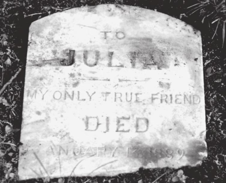 Julia Pollard was buried in January 1889 on the southern born of Maple Grove Cemetery in Queens.