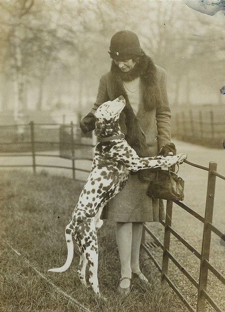 Vintage Dalmatian and woman