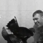 Welton-Cock-FIght-2