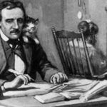 Poe-with-Cat