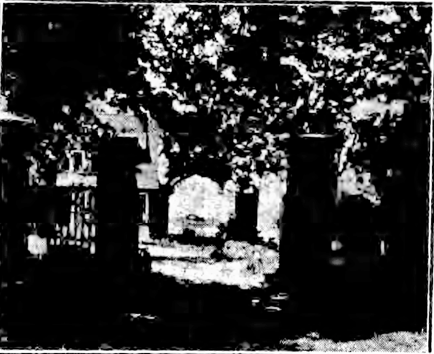 The four gate posts and iron fence were all that remained of the Graham mansion in 1927. Brooklyn Standard Union, May 29, 1927.