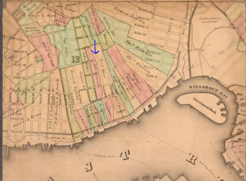 Frederick Devoe tract, 1855 Brooklyn map