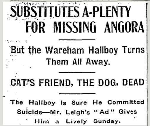 Cat missing from Wareham, New York Times, January 7, 1907