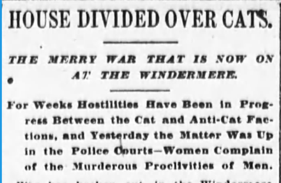 New York Sun, May 23, 1899
Windermere Cat Fight 