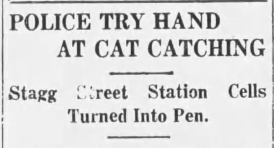 Police Try Hand at Cat Catching Stagg Street Station, 1925