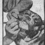 Dog-Dentist-Hotel-1920