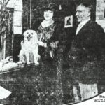 Dog-Hotel-1920-EVEW