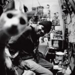 Sunshine-Hotel-Cat-1999