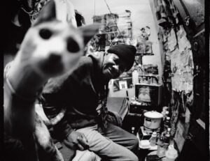 Sunshine Hotel cat 1998