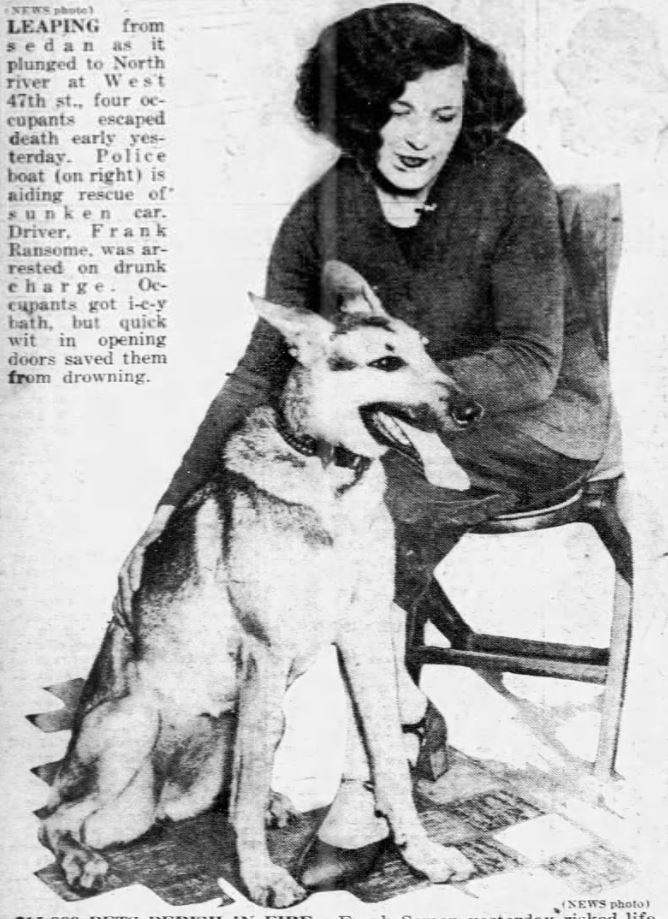 Beauty the pet shop police dog with Blanche Kropacek in 1926.