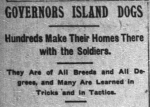Governor Island Dogs
NYT, 1902