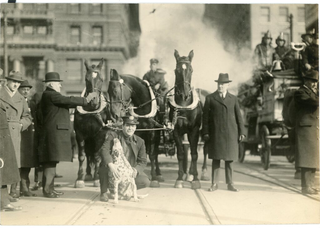 Jiggs firedog with Horses of FDNY Engine 205
From The Bravest Pets of Gotham: Tales of Four-Legged Firefighters of Old New York