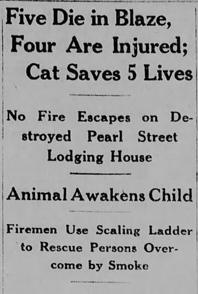 New-York Tribune, February 10, 1918
Peck Slip fire