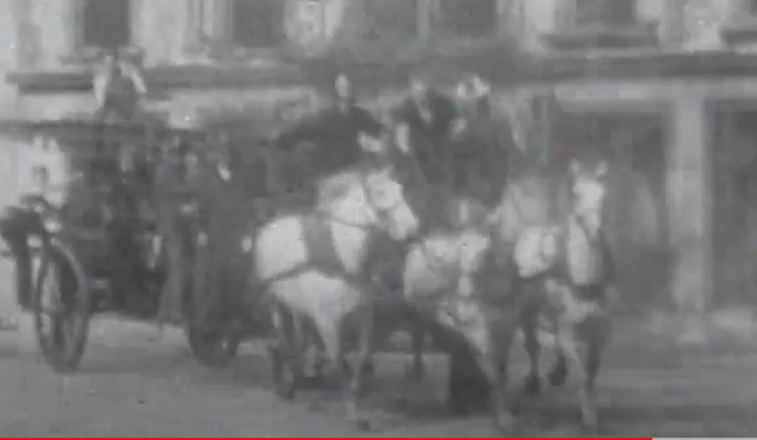 The three white horses at Coney Island's Dreamland, 1905