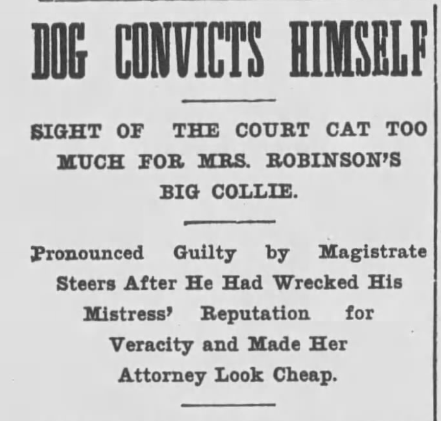 Brooklyn Daily Eagle, December 1900