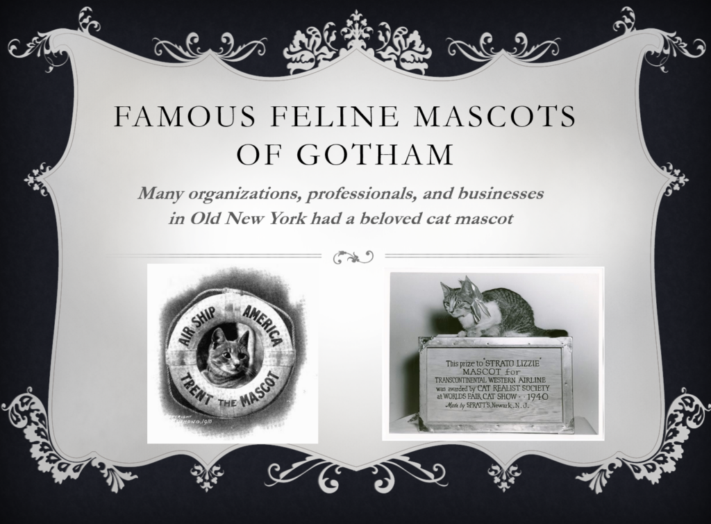 Famous Feline Mascots of Gotham